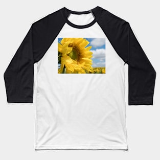 The Sunflower Baseball T-Shirt